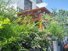 -桤木河湿地公园