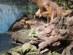 -辽宁古生物博物馆