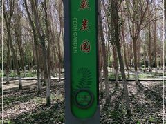 -长白岛森林公园