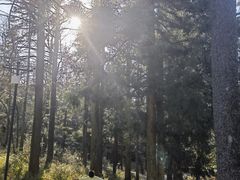 -溪口商量岗景区