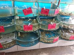 -晓伟海鲜家常菜