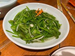清炒水性杨花-老滇山寨•云南特色菜•地方菜•民族风情歌舞表演(金碧店)