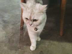 -研途咖啡馆(健康路店)