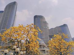 -洲头咀公园
