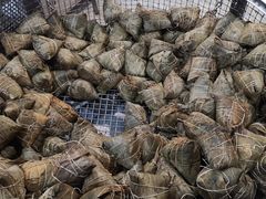 -赵记粽子(司前街店)