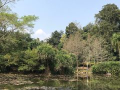 -中国科学院西双版纳热带植物园