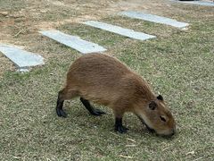-台山颐和温泉城