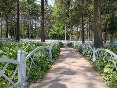-黑龙江省森林植物园