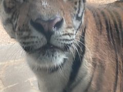 -云南野生动物园