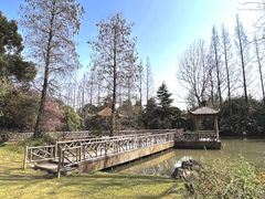 -上海滨江森林公园