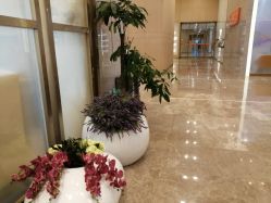 -成都艾特他整形外科医院