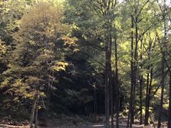 -吊水壶国家森林公园