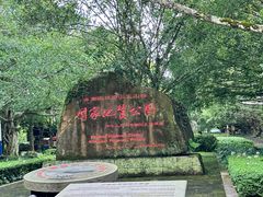 -海口火山口国家地质公园