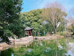 -秋霞圃