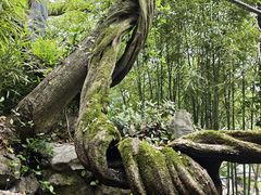 -绮园景区