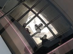-加拿大国家电视塔
