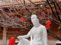 -仙岳公园