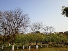 -白塘生态植物园