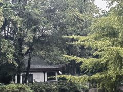 -找不到凉面(新都粮食局毗河油厂职工宿舍大院店)