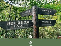 -马峦山郊野公园