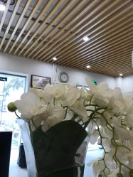 点击看大图 -薇薇安花系SPA