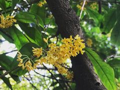 -南通博物苑-崇川人民公园