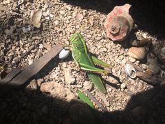 -龙坑生态保护区