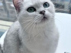 -怪兽屋·羊驼·猫咖·狗咖(俊华广场店)