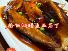 -马灯部落·西湖边的创意山景餐厅(虎跑动物园店)