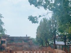 -昆明动物园