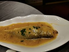 -骏莱海鲜鱼港(五角场店)