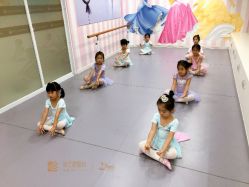 -昕艺尚皇家芭蕾舞蹈中心