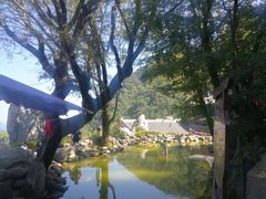 -塔云山