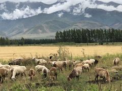 -新疆那拉提国家旅游度假区