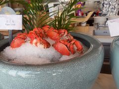 -济南凯宾斯基酒店-THE VIEW云景全日制餐厅