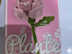 -潮品挚尚(龙湖长楹天街店)