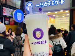 -一只酸奶牛(八一路店)