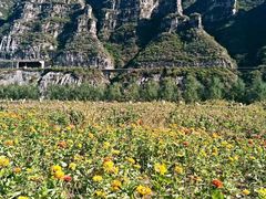 -十渡东湖港风景区