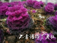 -滨江生态公园