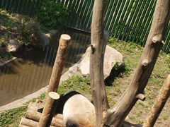 -沈阳森林动物园