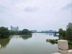 -顺峰山公园