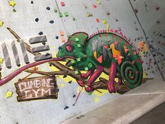 -尽峰攀岩 Acme Climbing
