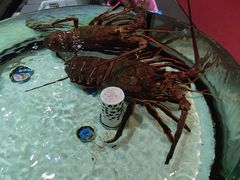 -强记海鲜·大排档(蛇口新街店)