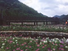 -广州市石门国家森林公园