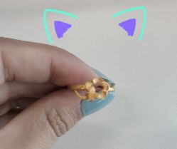 -中国黄金(北京旗舰店)