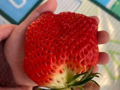 -东方鼎信农副产品交易中心