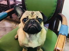 -宴秋杭州菜(锦艺城店)