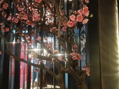 -老板恋上鱼(印象城店)