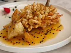 精灵松鼠桂鱼-海味观(老西门店)