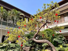 -聚福宝合苑食府(南头镇店)